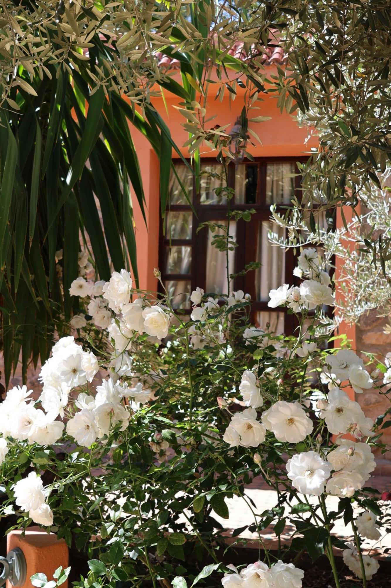 Domaine De La Roseraie Resort Ouirgane Exterior foto