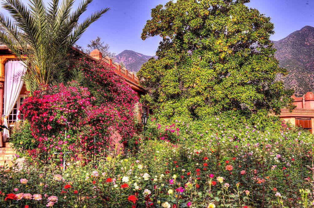 Domaine De La Roseraie Resort Ouirgane Exterior foto